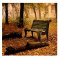 /album/psicologa-patricia-velazquez/banca-solitaria-pag-web-jpg/